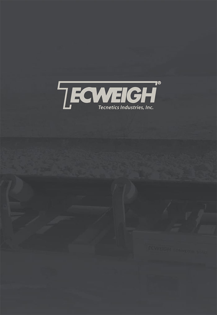 Screenshot of Tecweigh login styling